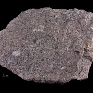 Piaskowiec szarogłazowy