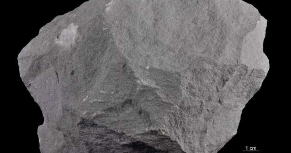 Piaskowiec krośnieński