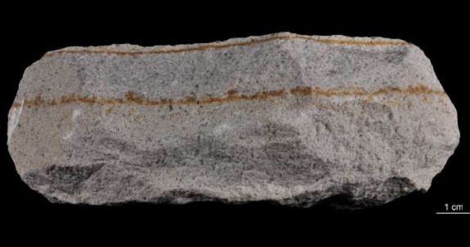 Piaskowiec ciężkowicki