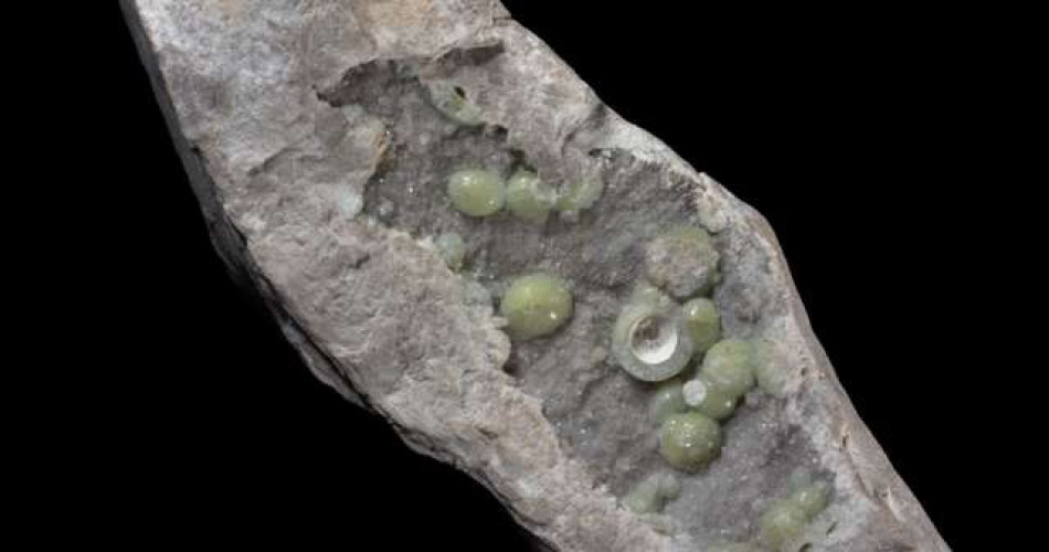 Piaskowiec kwarcytowy z wawelitem