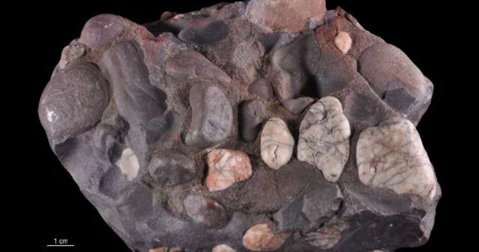 Zlepieniec żelazisty