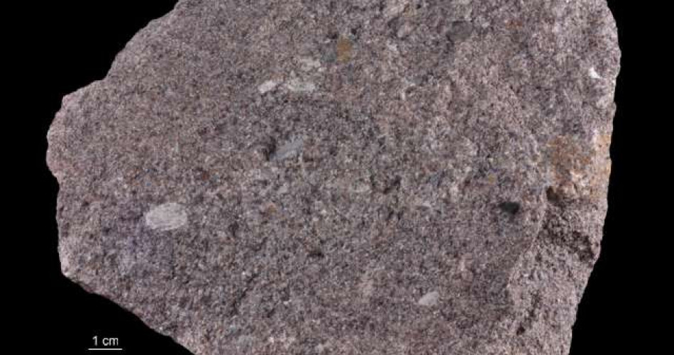 Piaskowiec szarogłazowy