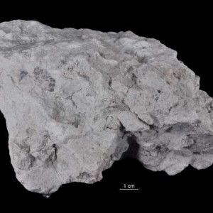 Kaolin
