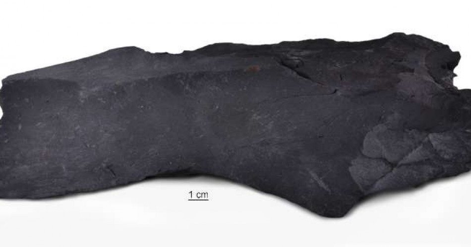 Łupek miedzionośny