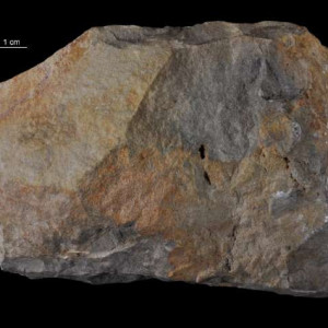 Dolomit kruszconośny