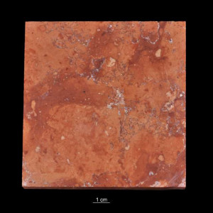 Wapień „Tardosz”