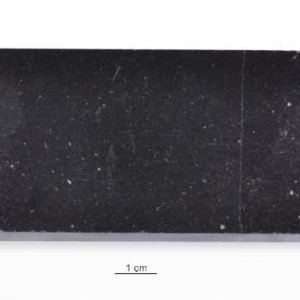 Wapień „Belge Noir”