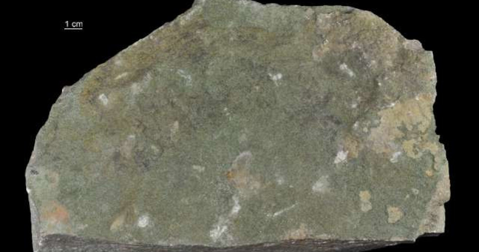 Wapień glaukonitowy