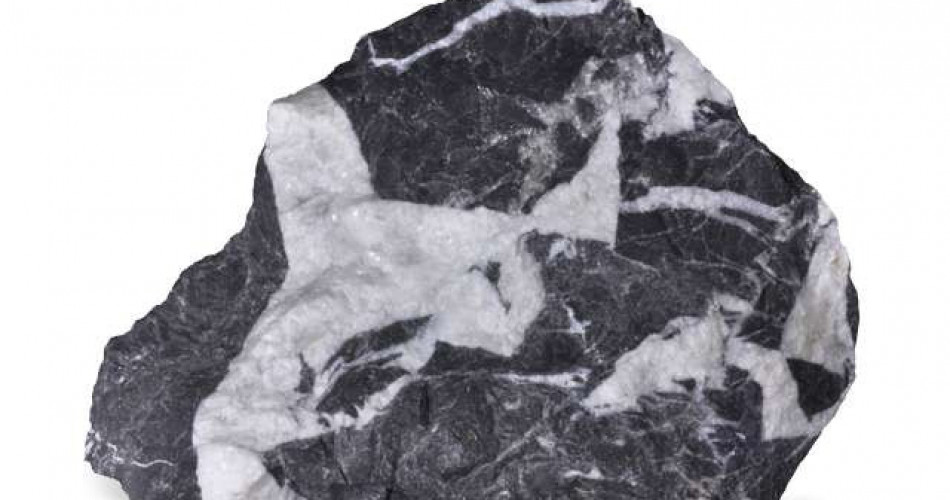 Wapień czarny (brekcja)