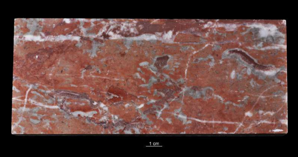 Wapień „Rouge Royale”