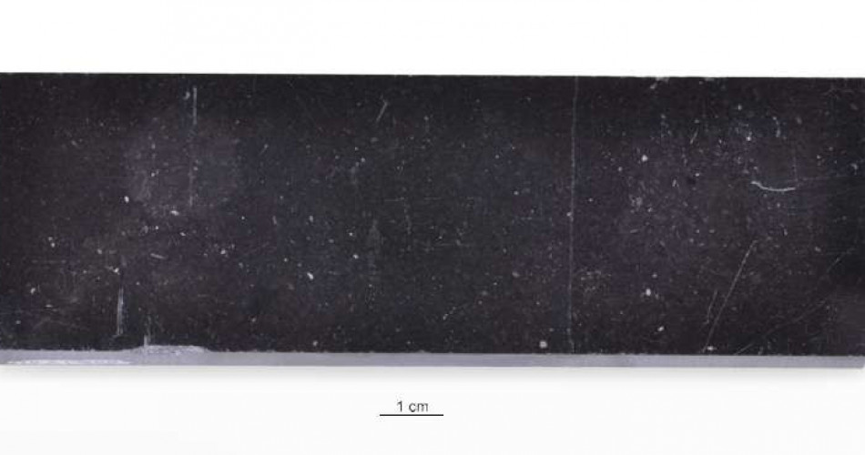 Wapień „Belge Noir”