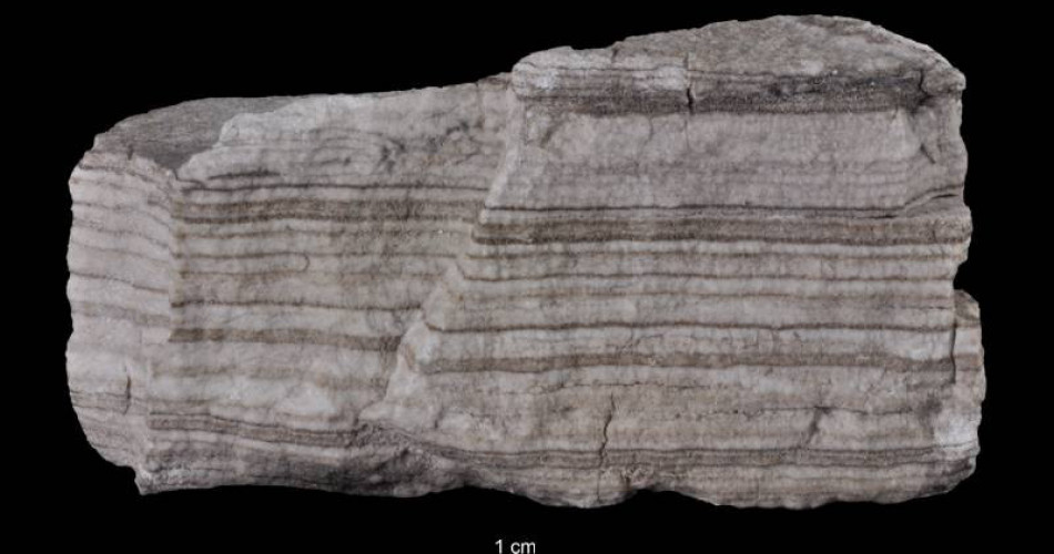 Skała anhydrytowo-gipsowo-wapienna