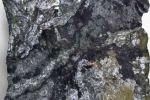Arsenopiryt 