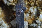 Rutyl