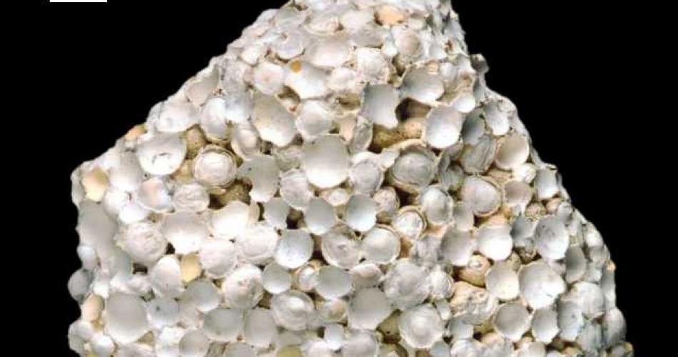 Aragonit „grochowiec”