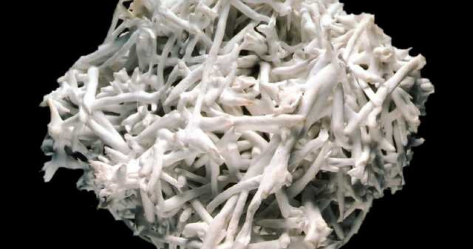 Aragonit ”kwiat żelaza”