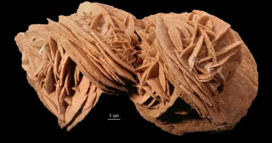 Gips „róża pustyni”