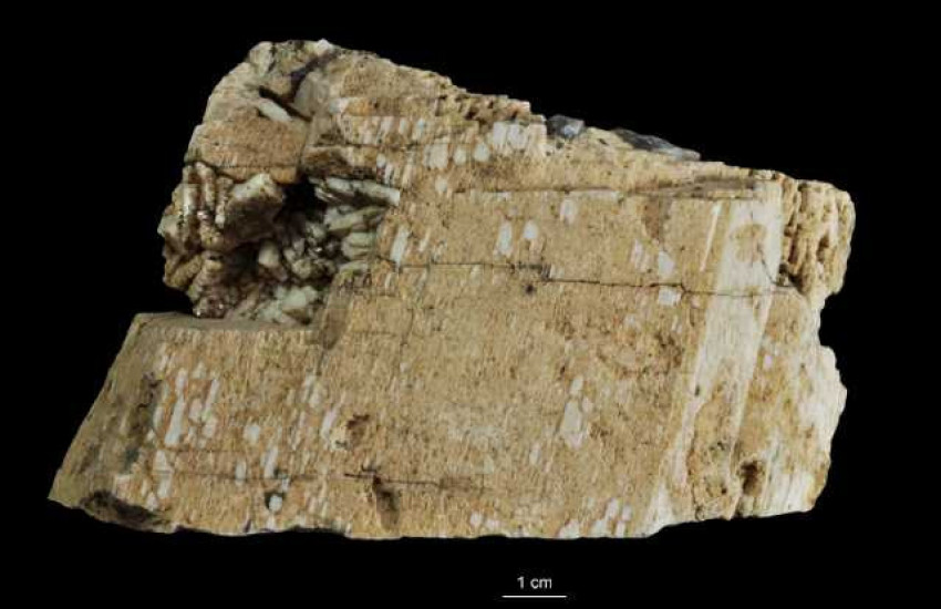 Minerał krystalizujący w układzie trójskośnym