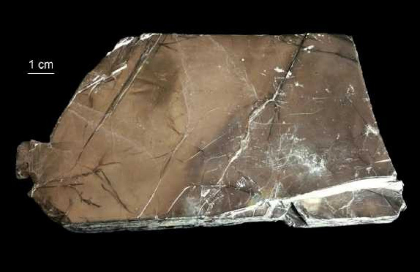 Minerał krystalizujący w układzie jednoskośnym