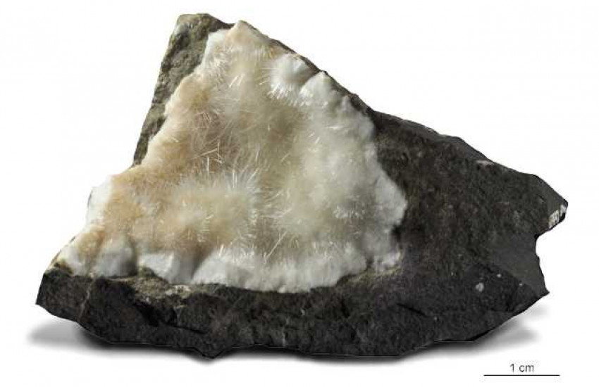 Minerał krystalizujący w układzie jednoskośnym