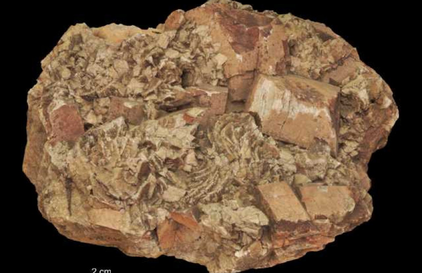 Minerał krystalizujący w układzie jednoskośnym