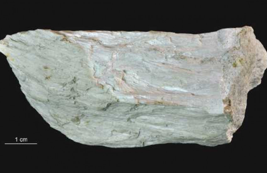 Minerał krystalizujący w układzie jednoskośnym