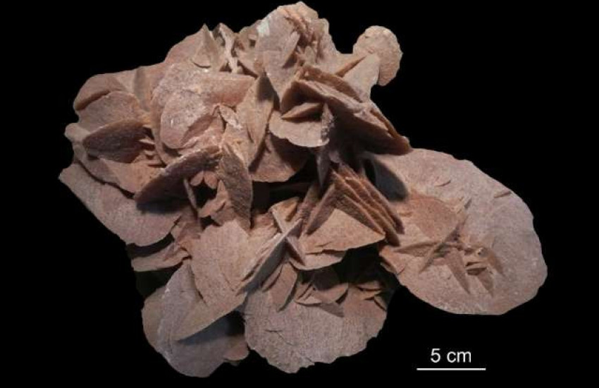 Minerał krystalizujący w układzie jednoskośnym