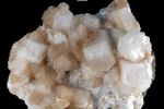 Minerał krystalizujący w układzie tetragonalnym 