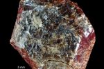 Minerał krystalizujący w układzie tetragonalnym