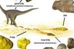 Skamieniałości śladowe dinozaurów