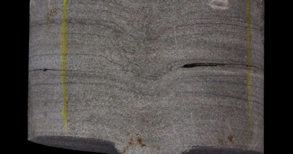 Skamieniałość śladowa