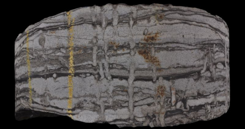 Skamieniałość śladowa