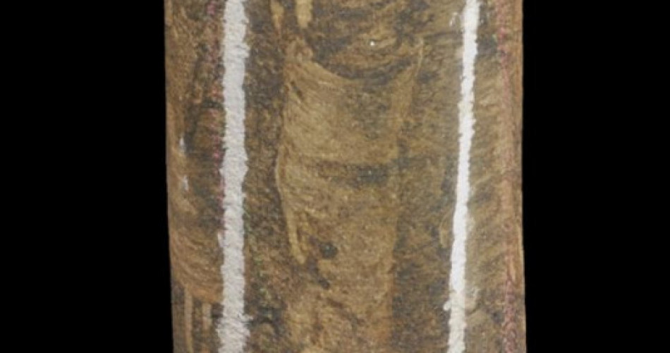 Skamieniałość śladowa