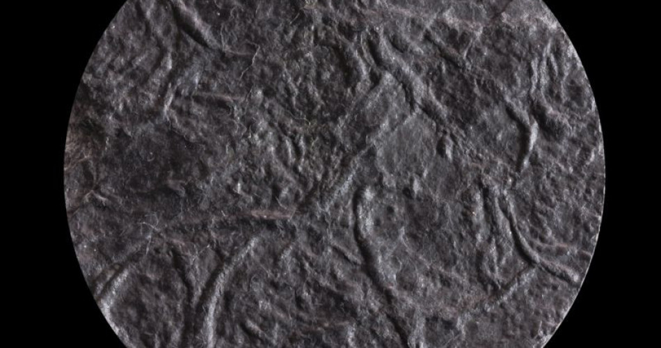 Skamieniałość śladowa