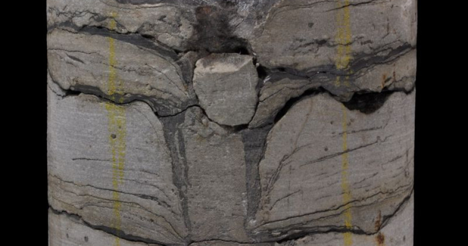 Skamieniałość śladowa