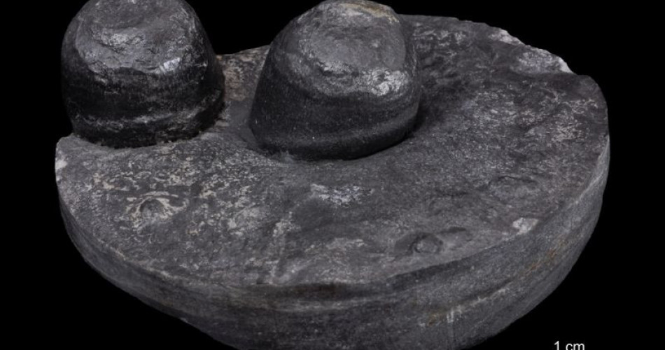 Skamieniałość śladowa