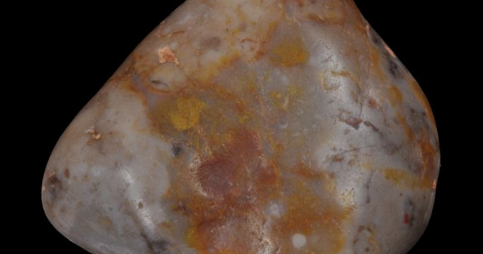 Gastrolit dinozaura - żołądkowy kamień trawienny