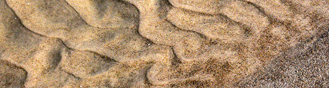 morze_banner19