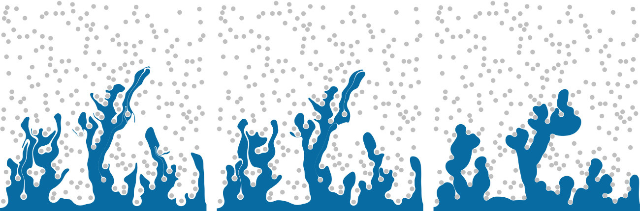 20_front_capillary