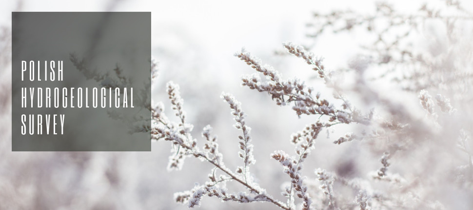 POLISH HYDROGEOLOGICAL SURVEY