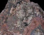 Granit orbikularny