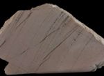 Skarn