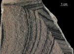 Skarn