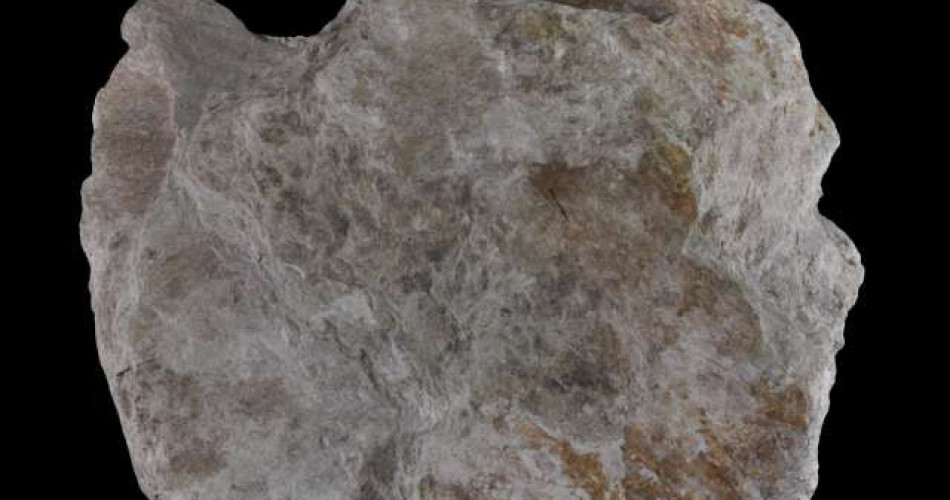 Łupek chlorytowo-talkowy